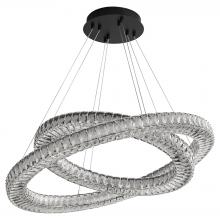 Oxygen 3-876-15 - Ã‰LAN DUAL RING CCT - BK