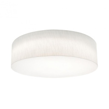 AFX Lighting, Inc. (Canada) ANF2432L5AJUD-LW-MS - Anton 24'' LED Ceiling, 120-277V,5 CCT,LW,MS