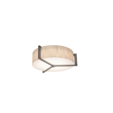 AFX Lighting, Inc. (Canada) APF1214MBWG-JT - Apex 14'' Med Base Flush Mount - WG w/ JT