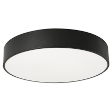 AFX Lighting, Inc. (Canada) BAYF24LAJUDBK-MS - Bailey 24'' Flush AJ CCT 120-277, BK, Motion