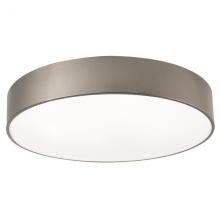 AFX Lighting, Inc. (Canada) BAYF24LAJUDSN-MS - Bailey 24'' Flush AJ CCT 120-277V, SN, Motion