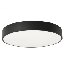 AFX Lighting, Inc. (Canada) BAYF30LAJUDBK-MS - Bailey 30'' Flush AJ CCT 120-277V, BK, Motion
