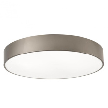 AFX Lighting, Inc. (Canada) BAYF30LAJUDSN-MS - Bailey 30'' Flush AJ CCT 120-277V, SN, Motion
