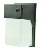AFX Lighting, Inc. (Canada) BWSW2400L41RB - 11" Outdoor Led Security