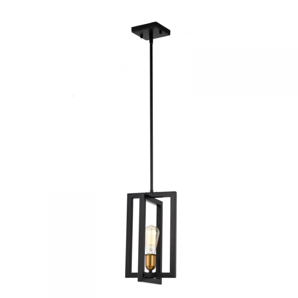 1-Light 8&#34; Pendant in black finish with Gold Socket Rings
