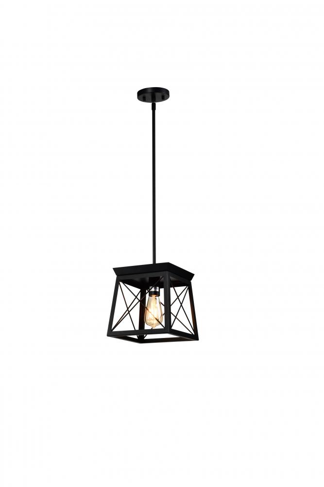 9&#34; Dual mount mini Pendant Semi-Flush and Pendant in Black finish with 1x60 W -Medium Base socke