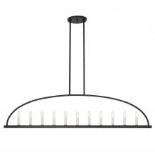 CRYSTORAMA ABB-3009-BK - Abbott 11 Light Black Linear Chandelier