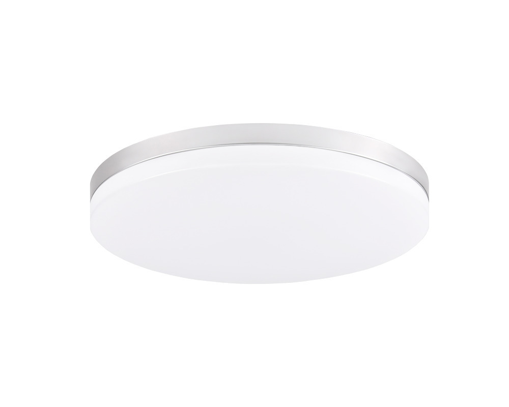 Xelan Painted Silver Ceiling Mount