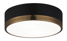 Matteo Lighting M14302BKAG - Trydor Black, Aged Gold Brass Ceiling Mount