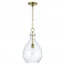 Capital Canada 349012AD - 1 Light Pendant