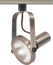 Nuvo TH302C - 1 Light - PAR38 - Track Head - Gimbal Ring