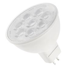 Light Bulbs