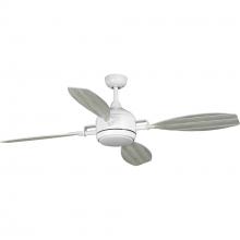Outdoor Fans
