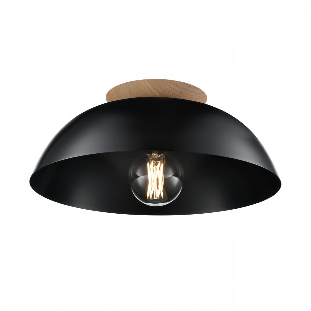 Bergen 16&#34; Dual mount Flush Mt. Black