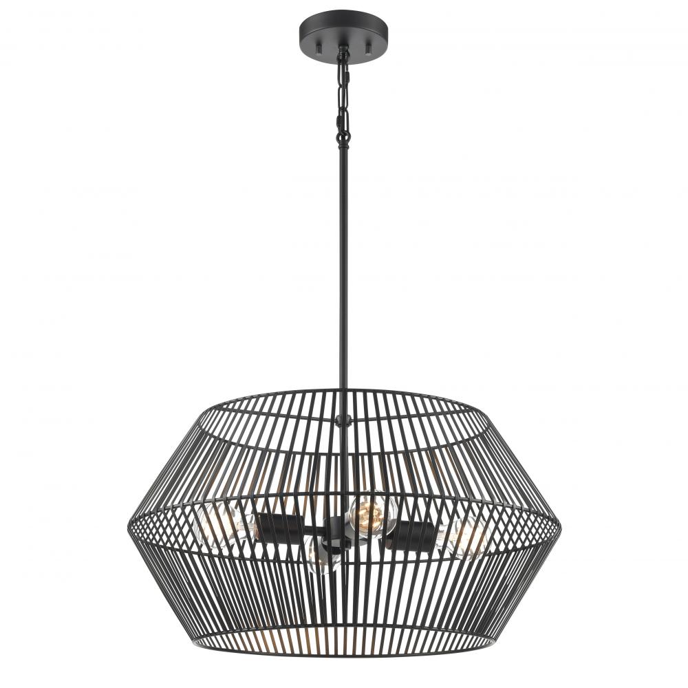 LADYSMITH 22&#34; PENDANT