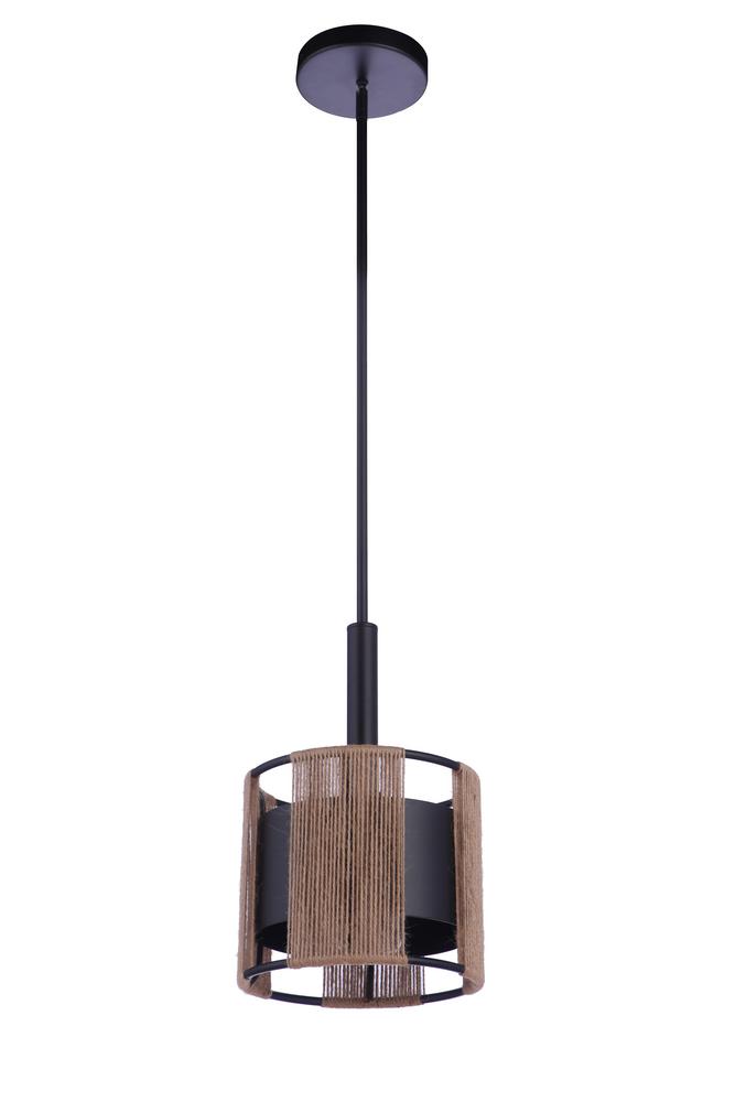 1 Light Mini Pendant