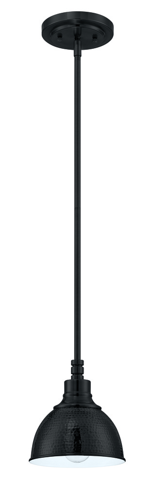 1 Light Mini Pendant