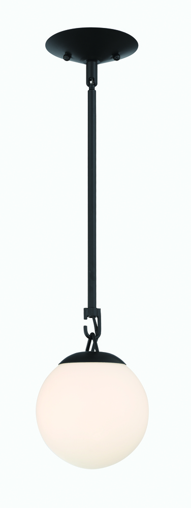 1 Light Mini Pendant